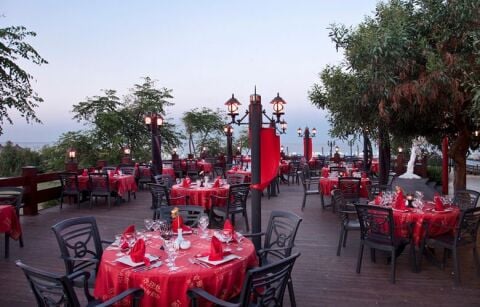 Commadore Koltuk Antrasit